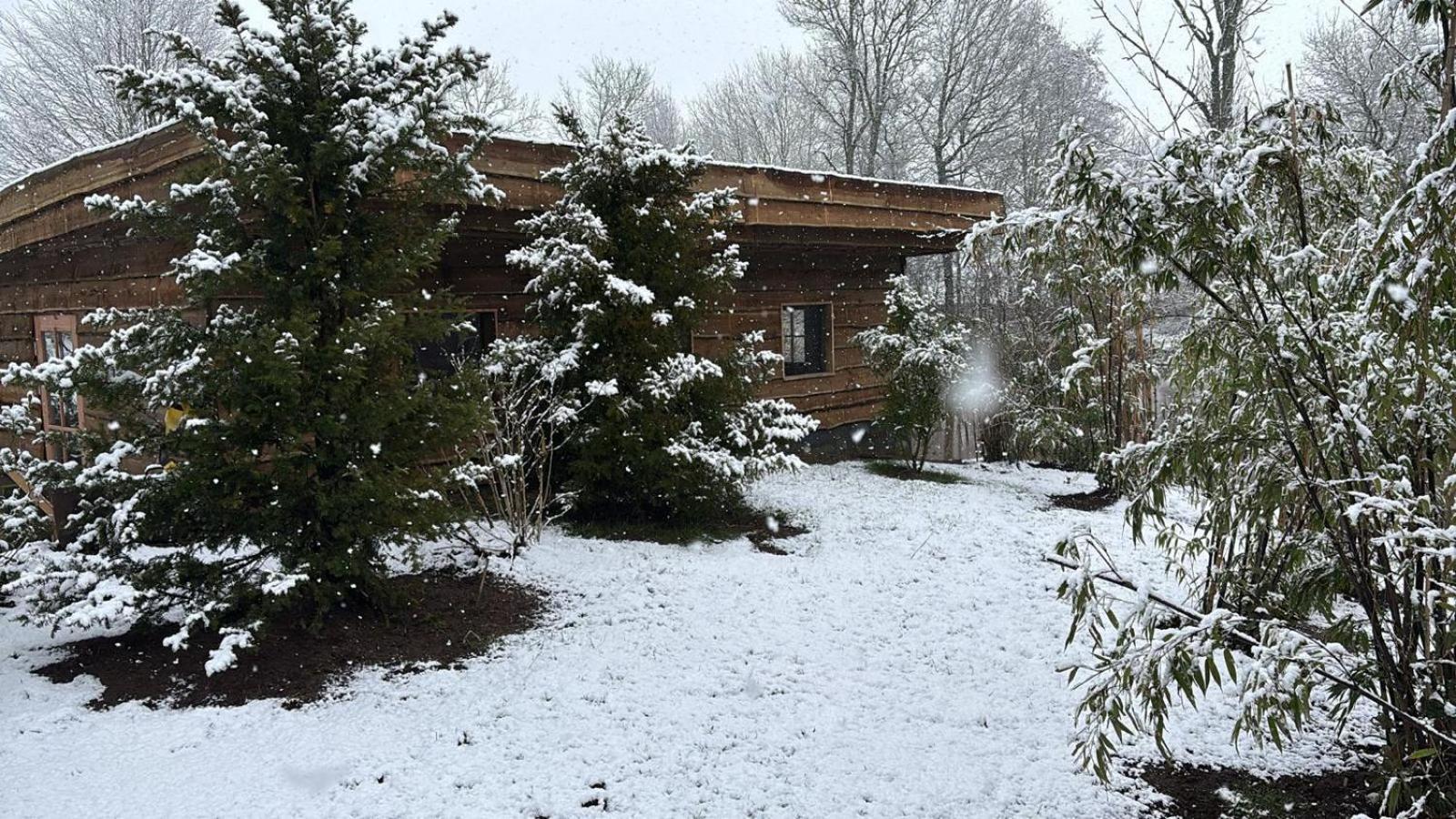 Apartament Landgoed Wittelte Dwingeloo Zewnętrze zdjęcie