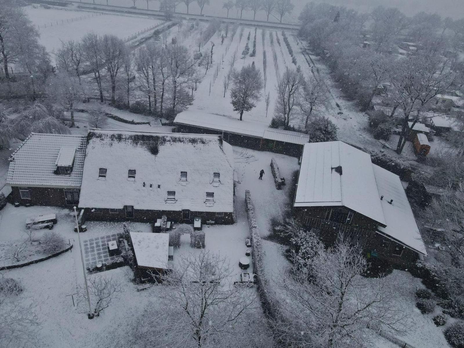 Apartament Landgoed Wittelte Dwingeloo Zewnętrze zdjęcie